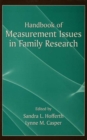 Image for Handbook of measurement issues in family research