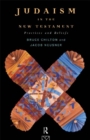 Image for Judaism in the New Testament: practices and beliefs
