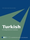 Image for Turkish: a comprehensive grammar