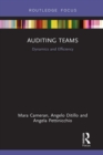 Image for Auditing teams: dynamics and efficiency