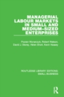 Image for Managerial labour markets in small and medium-sized enterprises