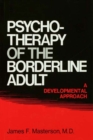 Image for Psychotherapy of the borderline adult: a developmental approach