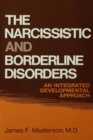 Image for The narcissistic and borderline disorders: an integrated developmental approach