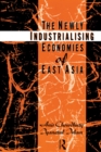 Image for The Newly Industrializing Economies of East Asia