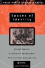 Image for Spaces of identity: global media, electronic landscapes and cultural boundaries