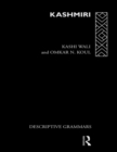 Image for Kashmiri: a cognitive-descriptive grammar