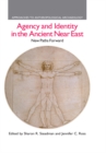 Image for Agency and identity in the ancient Near East: new paths forward