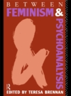 Image for Between Feminism and Psychoanalysis
