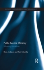 Image for Public service efficiency: theories and evidence