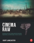 Image for Cinema raw: shooting and color grading with the Ikonoskop, Digital Bolex, and Blackmagic Cinema cameras