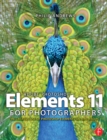 Image for Adobe Photoshop Elements 11 for photographers