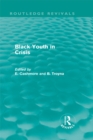 Image for Black youth in crisis