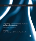 Image for Litigating transnational human rights obligations: alternative judgements