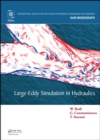 Image for Large-Eddy Simulation in Hydraulics
