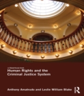 Image for Human rights and the criminal justice system