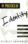 Image for The Politics of Identity: Class, Culture, Social Movements