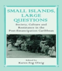 Image for Small islands, large questions: society, culture and resistance in the post-Emancipation Caribbean