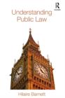 Image for Understanding public law