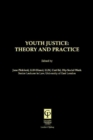Image for Youth justice: theory &amp; practice