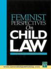Image for Feminist perspectives on child law