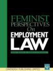 Image for Feminist perspectives on employment law