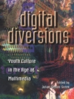 Image for Digital diversions: youth culture in the age of multimedia