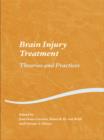 Image for Brain injury treatment: theories and practices