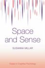 Image for Space and sense