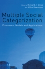 Image for Multiple social categorisation: processes, models and applications