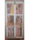 Image for Secrets and laws: collected essays in law, lives, and literature