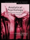 Image for Analytical psychology: contemporary perspectives in Jungian analysis