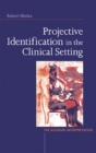 Image for Projective identification in the clinical setting: a Kleinian interpretation