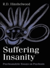 Image for Suffering insanity: psychoanalytic essays on psychosis