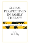 Image for Global perspectives in family therapy: development, practice, trends