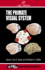 Image for The primate visual system