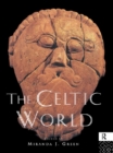 Image for The Celtic World