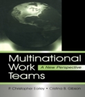 Image for Multinational Work Teams: A New Perspective