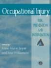 Image for Occupational injury: risk, prevention and intervention