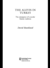Image for The Alevis in Turkey: The Emergence of a Secular Islamic Tradition