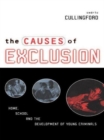 Image for The causes of exclusion: home, school and the development of young criminals.