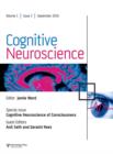 Image for Cognitive Neuroscience of Consciousness: A Special Issue of Cognitive Neuroscience