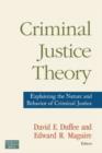 Image for Criminal Justice Theory: An Introduction