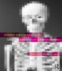 Image for Hybrid media culture: sensing place in a world of flows : 114