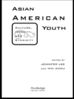 Image for Asian American youth: culture, identity and ethnicity