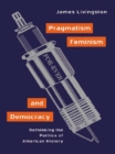 Image for Pragmatism, Feminism and Democracy: Rethinking the Politics of American History