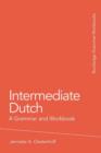 Image for Intermediate Dutch: A Grammar and Workbook