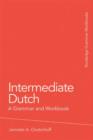 Image for Intermediate Dutch: a grammar and workbook