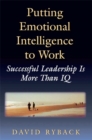 Image for Putting emotional intelligence to work: successful leadership is more than IQ