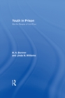 Image for Youth in Prison: We the People of Unit Four