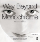 Image for Way beyond monochrome: advanced techniques for traditional black &amp; white photography including digital negatives and hybrid printing
